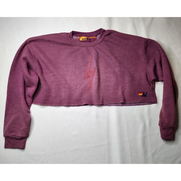 Aviator Nation Tops - Aviator Nation Set Essential Cropped Sweatshirt W Pants in Faded Purple Size XS